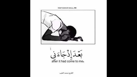 " يوم يعض الظالم على يديه " القارئ : محمد النقيب