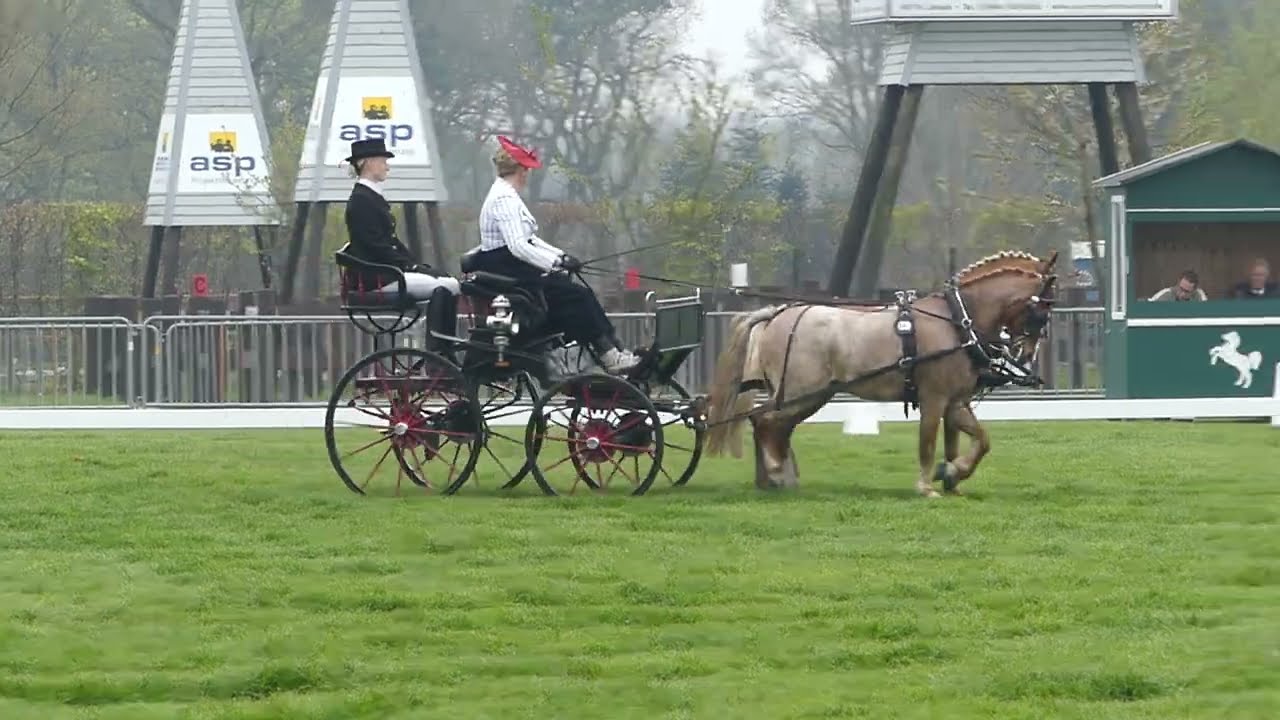 VAN DE KAMP ROOZENDAAL, Woutera, NED, Part of Dressage Pairs ponies, CAI3# P2 Lähden 29 04 2023