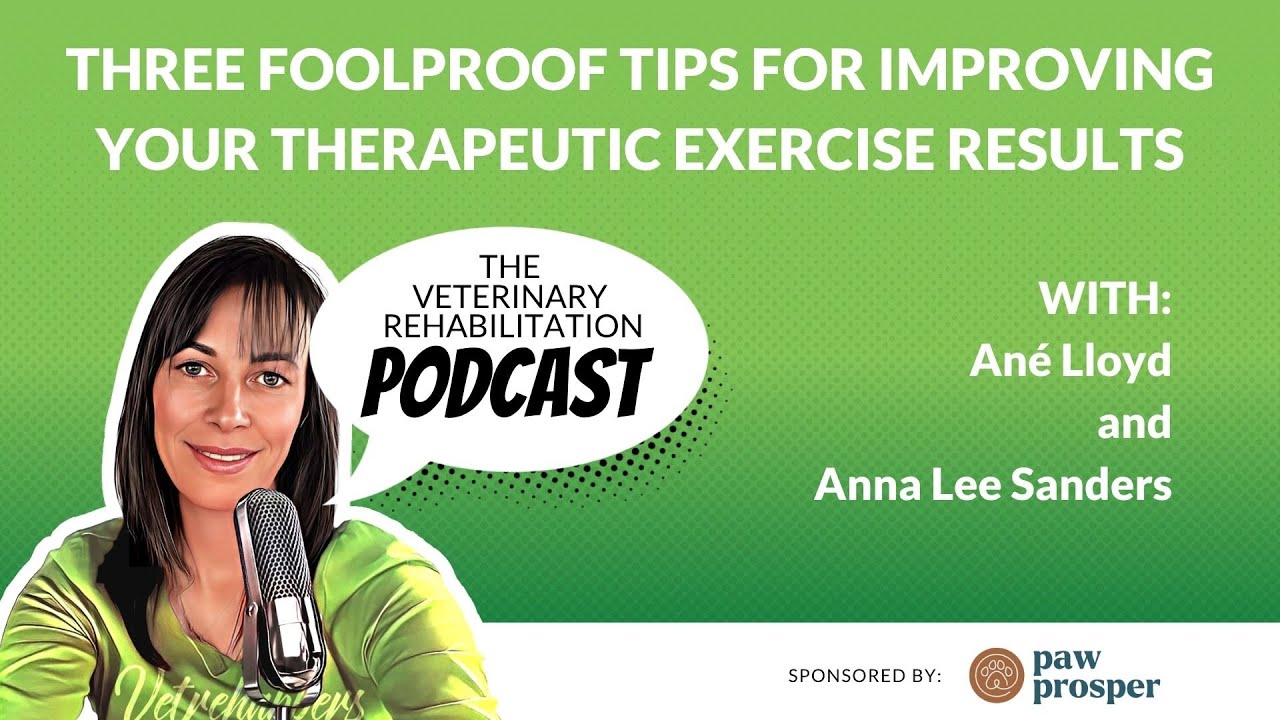 Three Foolproof Tips for Improving Your Therapeutic Exercise Results with Anna Lee Sanders