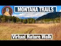 Suce Creek Trail Virtual Walk -  Virtual Walking Trails for Treadmill - Montana 4K 60p Hike