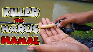 Cara Simpel Dan Mudah Membuat Umpan Mancing Dari Kayu