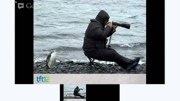 #TFT12: Alex Hocking - To improve is to change, to be perfect is to change often