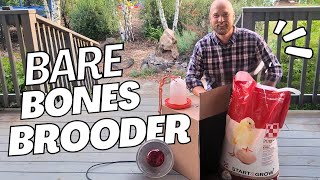 5-Minute DIY Chicken Brooder | How to Build One Cheap!