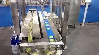 Robot pick up and loading into tray/box/ carton package Machine system