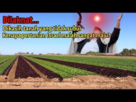Video: Apa Itu Minyak Jojoba: Pelajari Tentang Minyak Jojoba Dan Serangga Di Berkebun