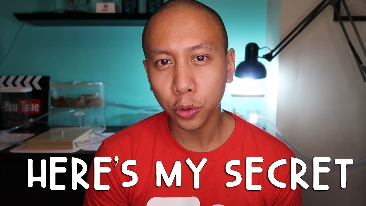 How To Live Your Dream Life... YOU TOTALLY CAN! | Vlog #271