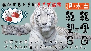 伊豆アニマルキングダム公式チャンネルの配信のサムネイル画像