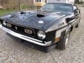 Sherriff PISSED OFF 1971 Mustang Mach One, Flint Michigan auto appraisal drive cut short-