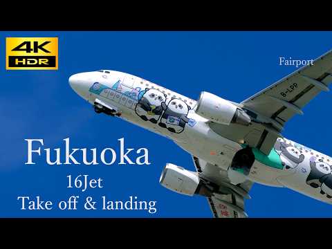 [4K] 16 Plane spotting Fukuoka airport Take off & landing / 福岡空港 離発着動画 16機 JAL ディズニー塗装機 etc