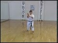 Bassai Dai Efthimios Karamitsos Karate Kata Shotokan