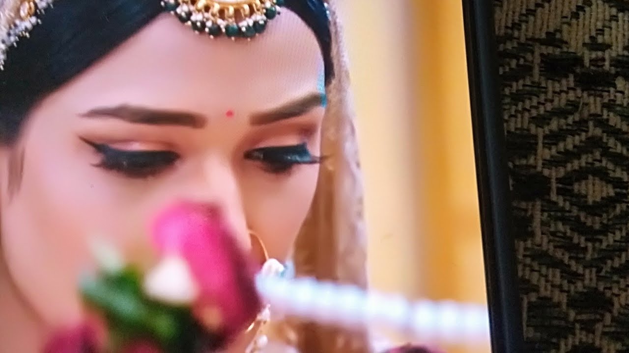 Anaya Official vlog is live!  today full  livestream 7 nub 2023