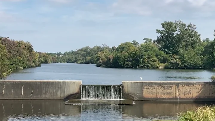Serenity Series: Egret on Randall Pond