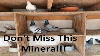 DON'T MISS THIS MINERAL!