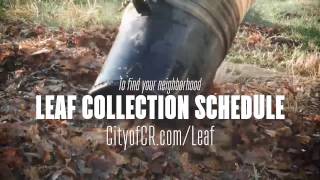 City of Cedar Rapids   Leaf Collection