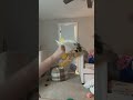 I low key did a loop