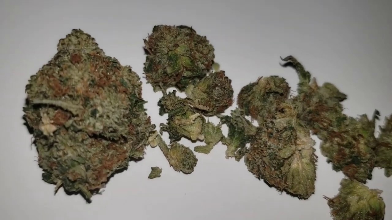 STRAIN REVIEW 113: pink tuna - Chronicpost