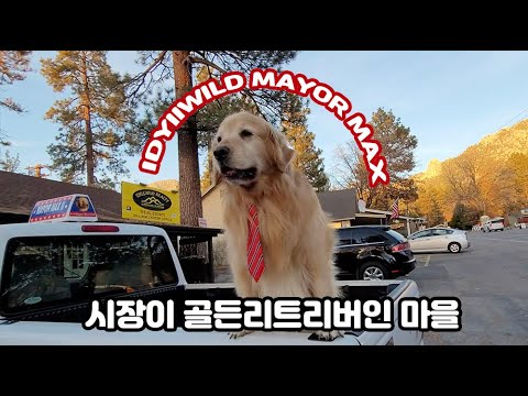가을이 그리울때 🍁 Idyllwild 3박4일 에어비앤비 여행🚙 미국일상