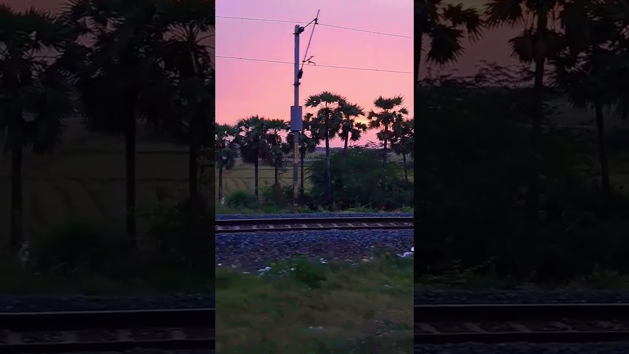 koyal bina bagiya | Village scene and Sunset 