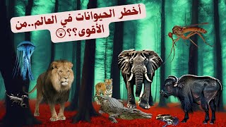 أخطر 10 حيوانات في العالم!!! 10 most dangerous animals in the world