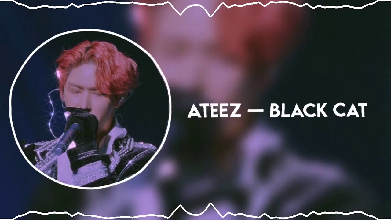 𝔱𝔥𝔢 𝔟𝔩𝔞𝔠𝔨 𝔠𝔞𝔱 𝔫𝔢𝔯𝔬 (𝔰𝔩𝔬𝔴𝔢𝔡 𝔡𝔬𝔴𝔫) — 𝔞𝔱𝔢𝔢𝔷