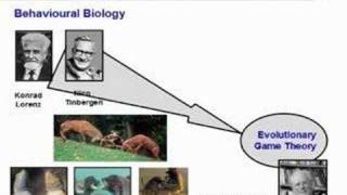Mathematics of Evolution Part 3
