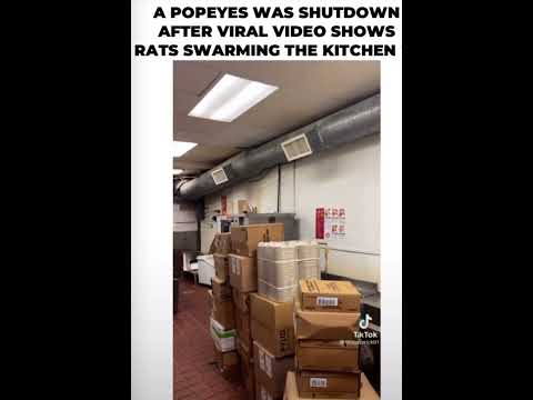 A Popeyes was shut down after this viral video Show rats swarming in the kitchen￼￼