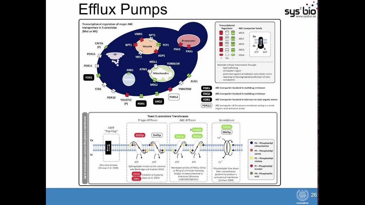 Using Systems Biology for Identification of Novel Metabolic Engineering Targets