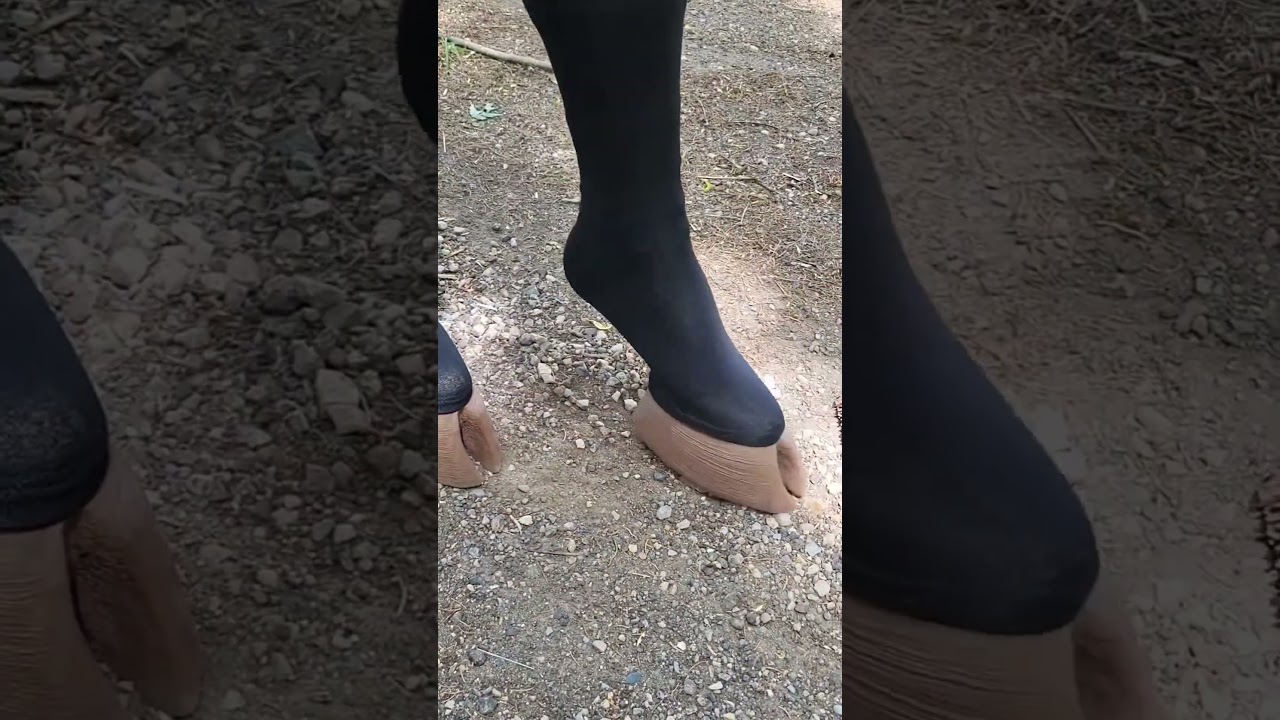 Found the WEIRDEST Shoes Ever!