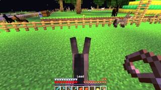 Minecraft horse mobs new performance limit - snapshot 13w22a screenshot 5