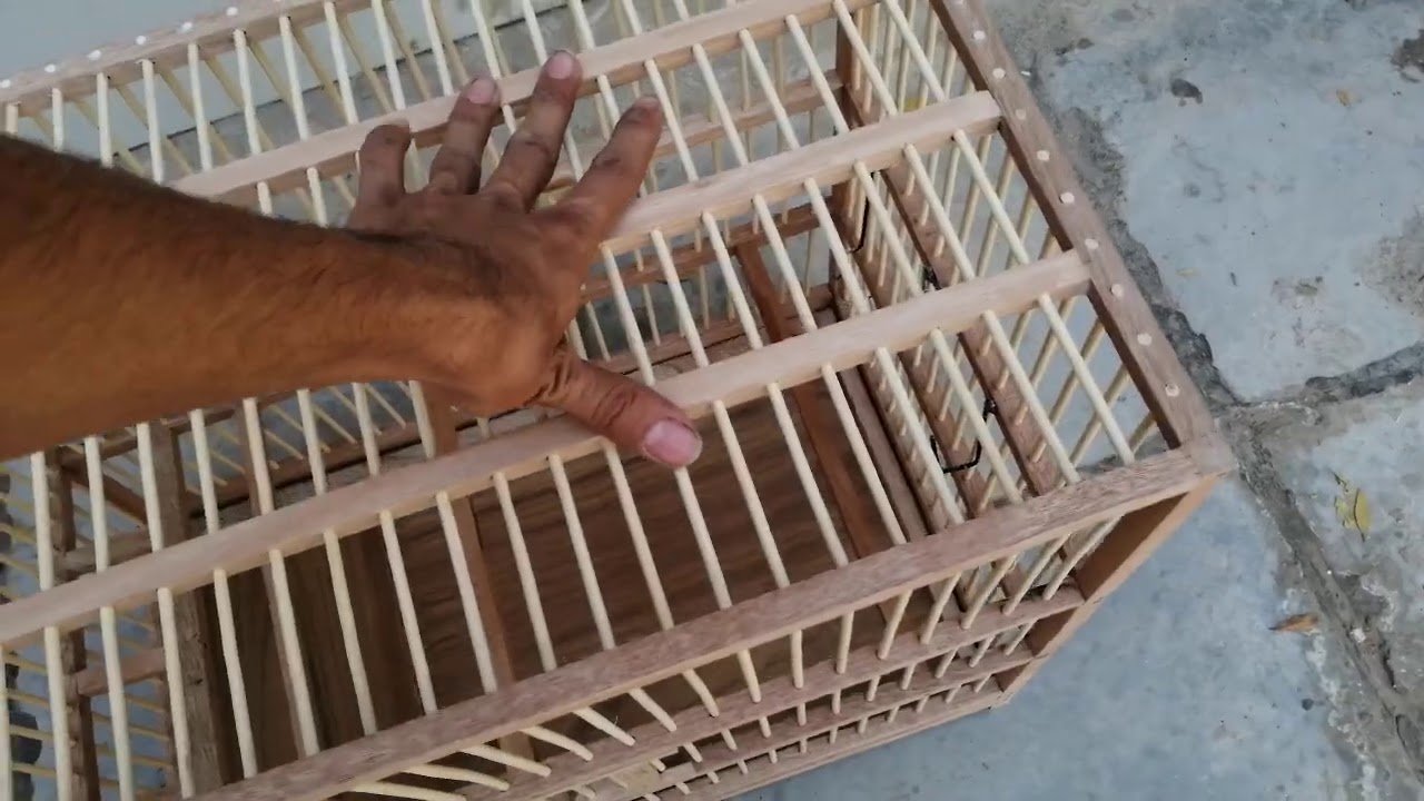 أجمل قفص بلابل