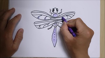 Vẽ hình #10: Vẽ và tô màu con chuồn chuồn  | Drawing and colouring a dragonfly