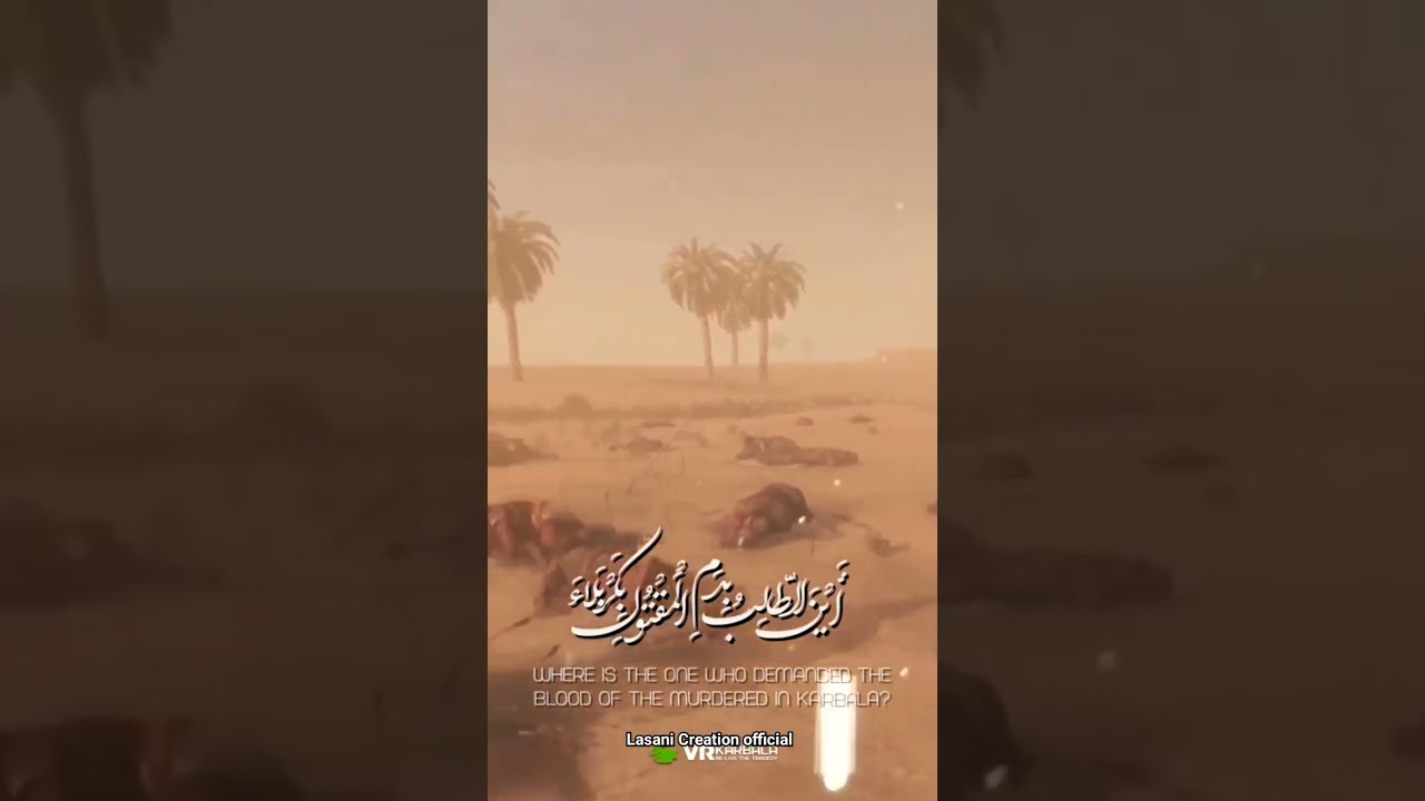 V R Karbala Video manzar e Karbalao😭