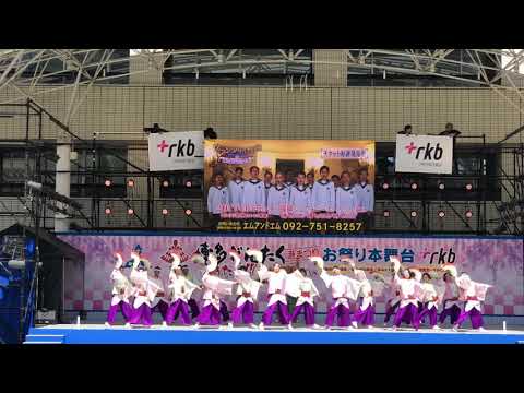 ふくこい連 博多どんたく港まつり 2019.5.3(金)