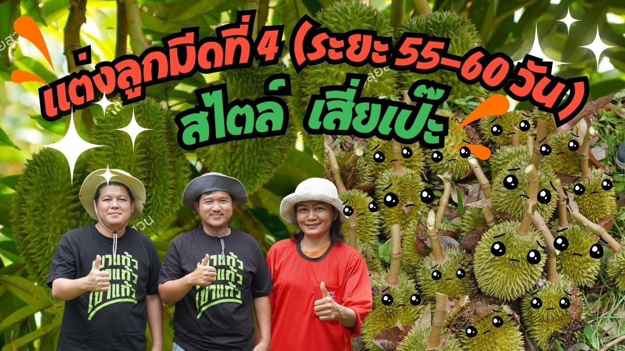 EP.114 แต่งลูกมีดที่4 ระยะ 55-60 วัน แปลงเสี่ยเป๊ะ |ปุ๋ยตราเขาแก้ว (Official)