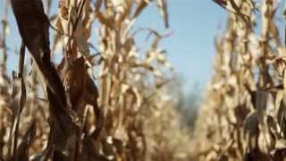 Drought, Climate Change and How to Help