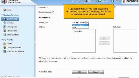 How to create and manage Customers in Plesk Reseller - Canadian Web Hosting
