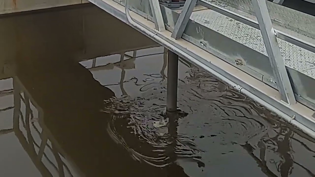 chemical agitator industrial mixers side entry agitators