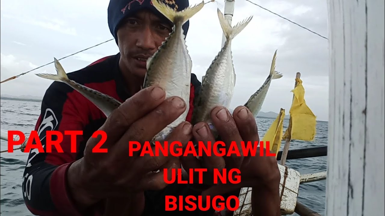 ep37-day-2-pangangawil-ulit-ng-bisugo-youtube