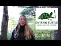 Turtle week with the ocdsb outdoor education centres