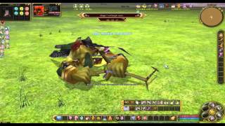 Flyff Colosseum Normal Mode solo run Knight