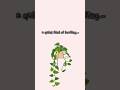 a quiet kind of healing…#shortsvideo #medandmood #quran #peace