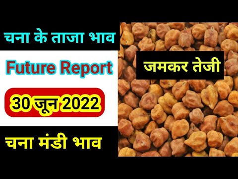 🌿चना का भाव | Chana price today | Chana bhav