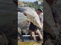 Local Fishermen Catch Giant Nile Perch from Lake Victoria!