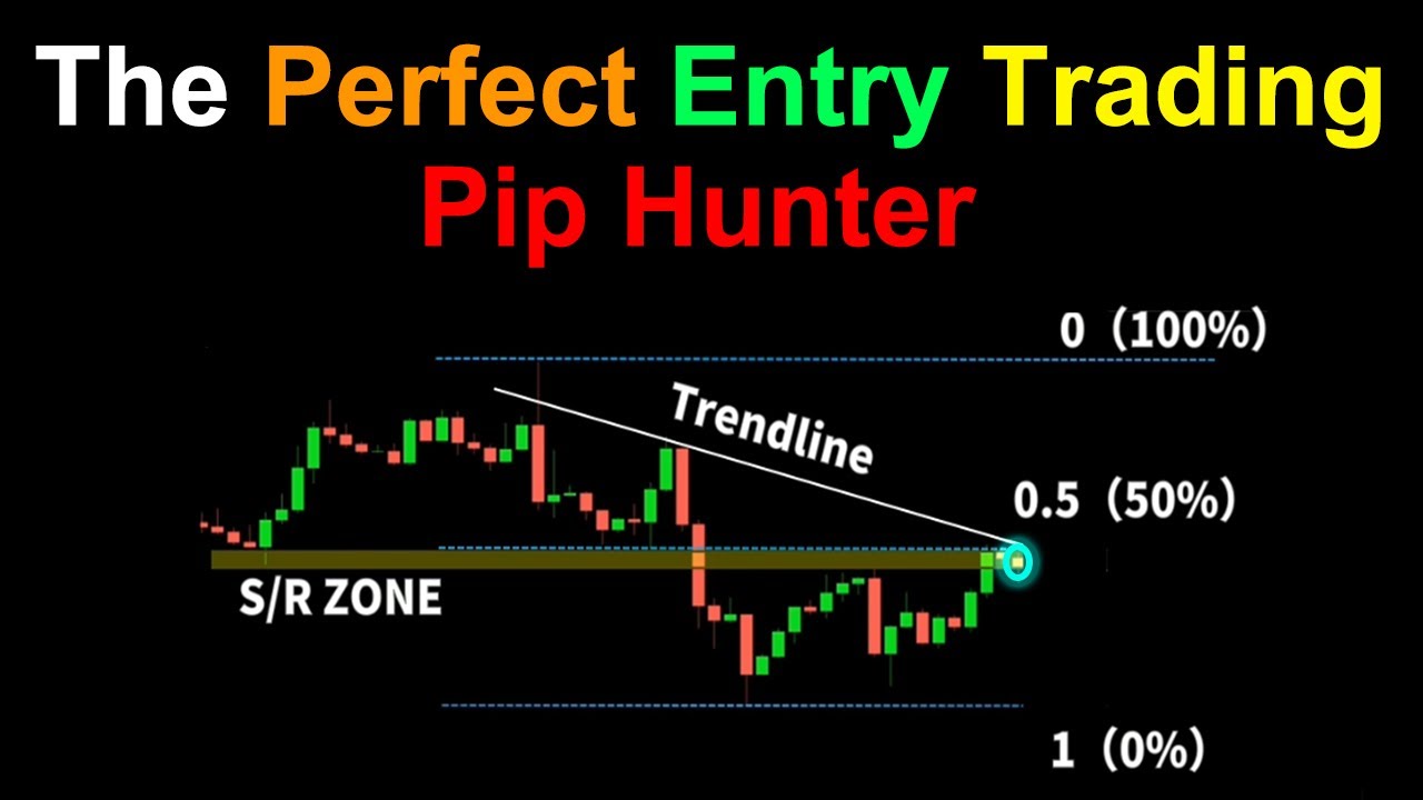 Piphunter Indicators Perfect Entry Trading Strategy Proven 500 Trades |  Complete Unbiased - YouTube
