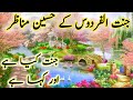 Beauty of Heaven Paradise|| jannat kahn hai || the reality of Heaven Paradise || Islamic stories