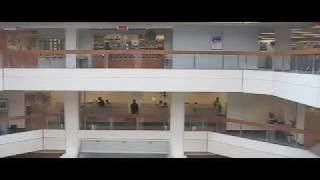 atrium on bay elevators