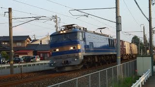 貨物列車 EF510 503号機［富］牽引 3096レ 日本海縦貫線（北陸本線） 高速通過　森田～福井（開発踏切）