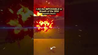 I Did The Impossible in Breath of the Wild