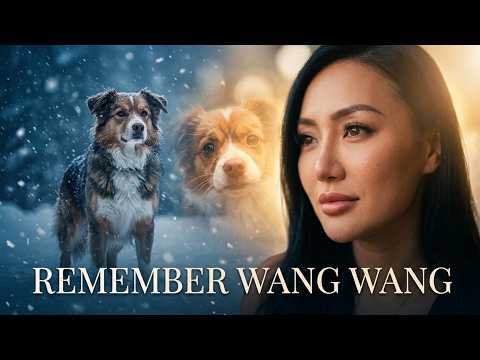 Remember Wang Wang - we must be Wang Wang's voice