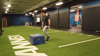 HICT - Box Step Ups